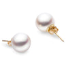 Japanese Akoya pearl studs in 14K Gold