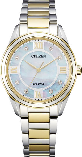 Arezzo Citizen Watch