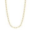 Gold Medium Chain Necklace