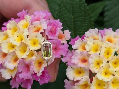 Watermelon Tourmaline Ring