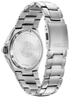 Paradigm Citizen Watch