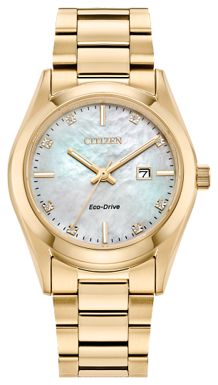 Sport Luxury Citizen Watch