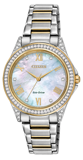 Weekender Citizen Watch