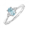 10KT White Gold Birthstone Ring