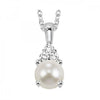 10KT White Gold Birthstone Pendant