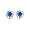 14KT WHITE GOLD DIAMOND (3/4CTW) & SAPPHIRE (5/8 CTW) EARRING