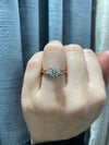 Eleanor Round Engagement Ring
