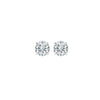14KT WHITE GOLD DIAMOND (1/4CTW) EARRING